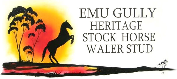 Emu Gully Heritage Stock Horse Waler Stud Logo